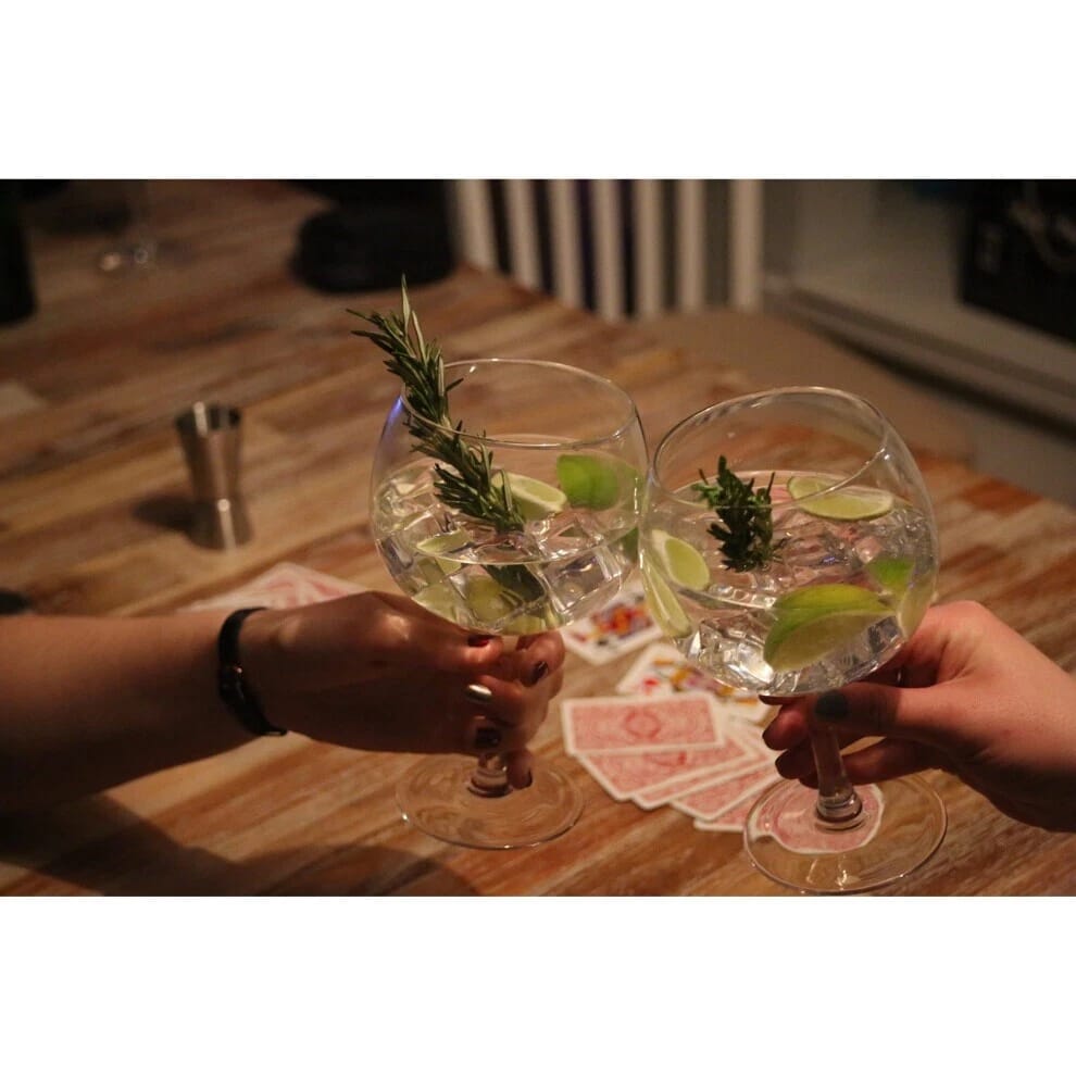 Vemacity Sets Of 2 Luxury Copa Gin Glasses