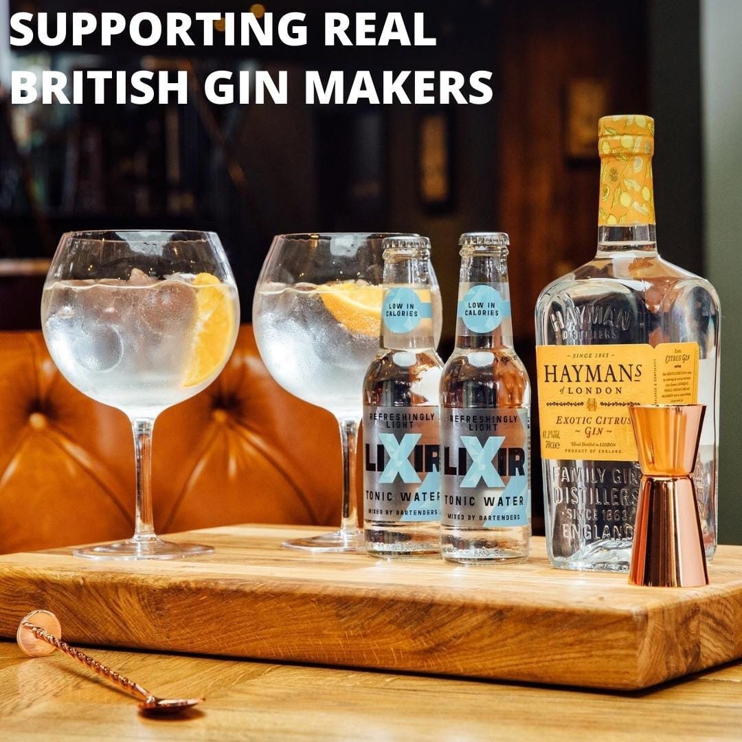 Vemacity Sets Of 2 Luxury Copa Gin Glasses